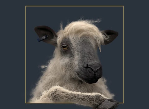 Letní slevy až 20 %